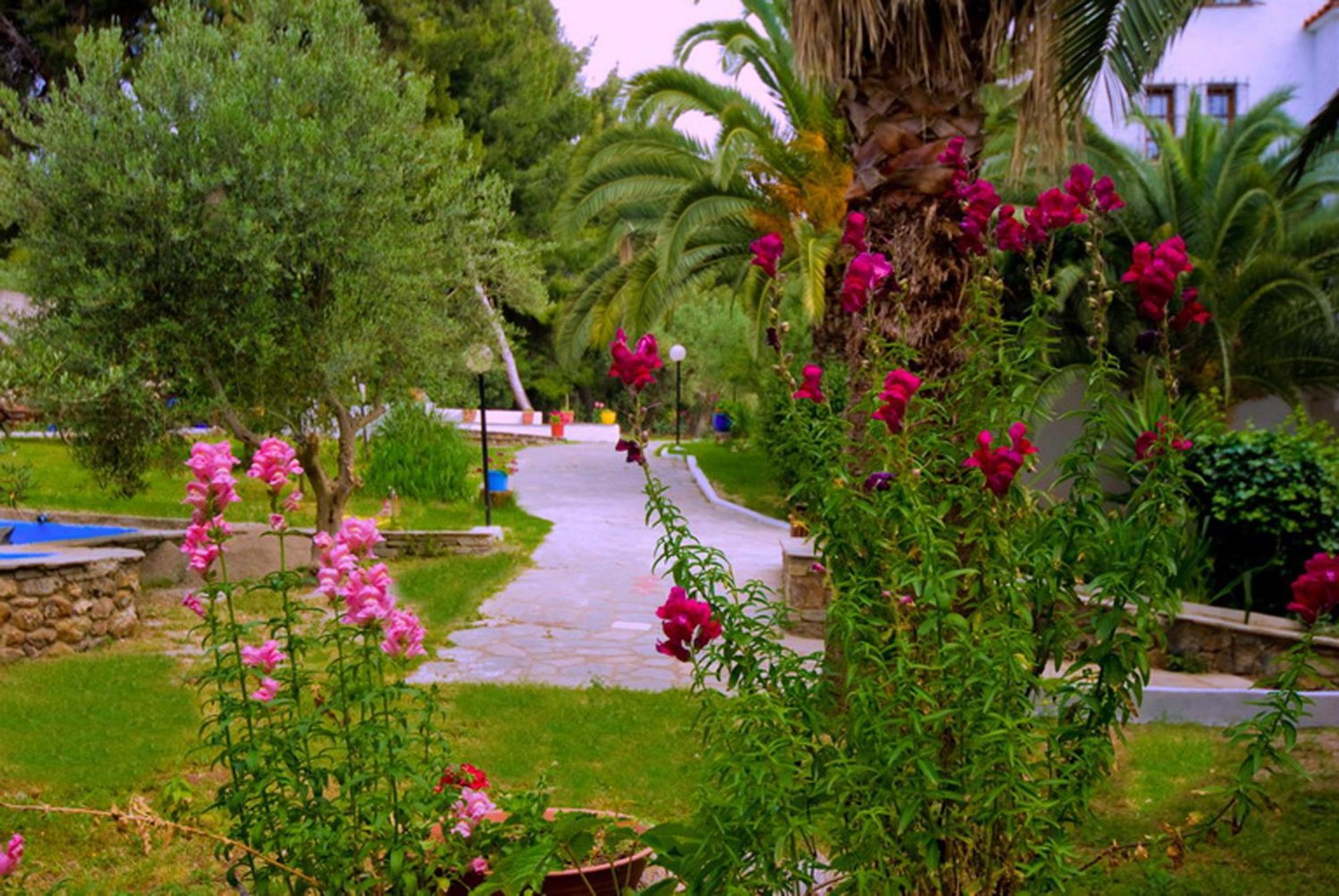 Porfi Beach Hotel Nikiti  Exterior foto